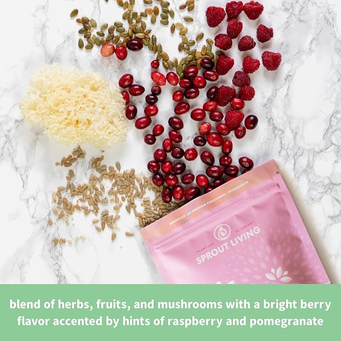 Sprout Living Epic Protein Plant Based Protein &amp Superfoods Powder Pro Collagen Berry | 15 Grams Organic Protein Powder Vegan Non Dairy Non-GMO Gluten Free Low Sugar (0.7 Pound 12 Serving
