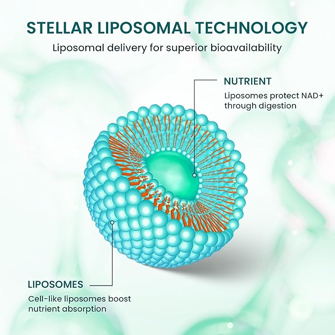 Stellar Liposomal Glutathione Liquid – Premium Absorption Antioxidant for Detox Immune Support &amp Cellular Health – Non-GMO Gluten-Free Third-Party Tested – 4 fl oz (120 mL)