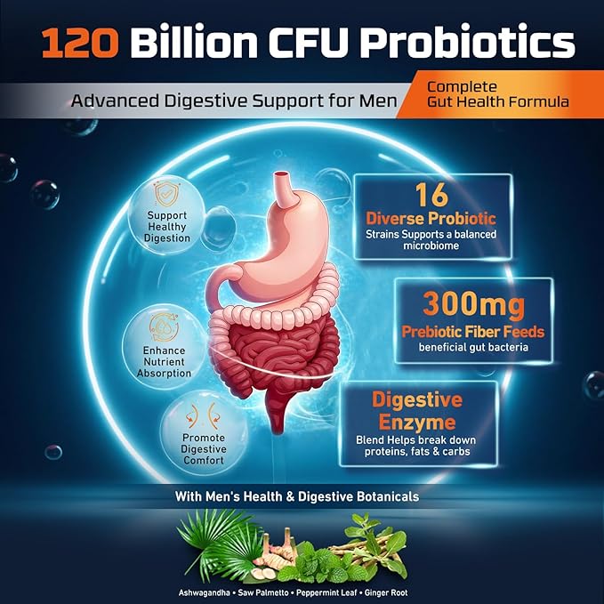Probiotics for Men 120 Billion CFUs Men’s Probiotics for Digestive Health with Prebiotic Digestive Enzymes Ashwagandha for Immune Stomach Bloating &amp Gut Health for Men 16 Strains 90 Capsule