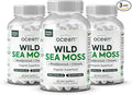 Organics Ocean Wild Sea Moss Capsules - 100% Organic Irish Sea Moss with Organic Chlorella Bladderwrack and Vitamin D for Energy Lung Health and Thyroid Support for Women and Men - 3 Bottles