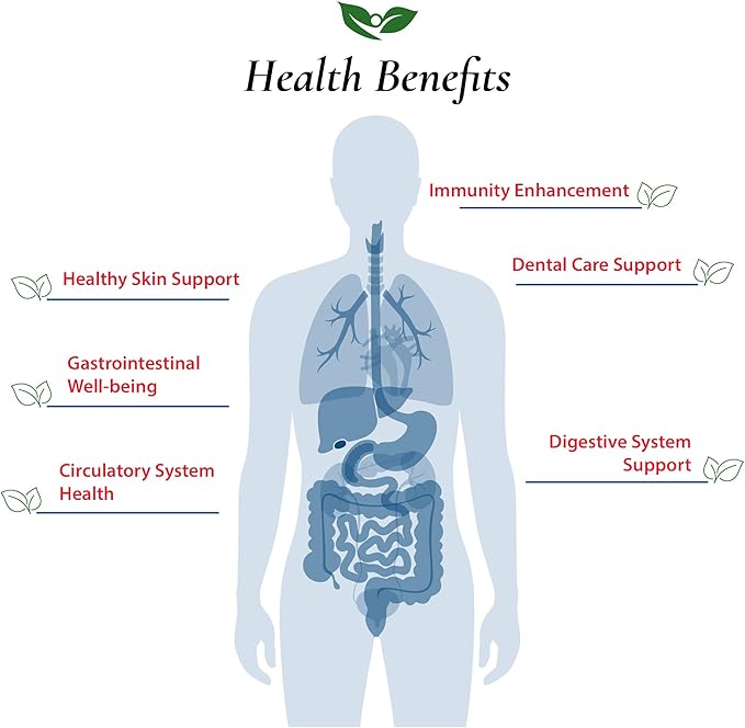 Lactobacillus Reuteri Probiotic Powder 75 Billion cfu's | Made in USA | No Additives | Direct from Manufacturer | No Third-Party Storage | Digestive &amp Immune Support | L. Reuteri | 60 Grams (2.11