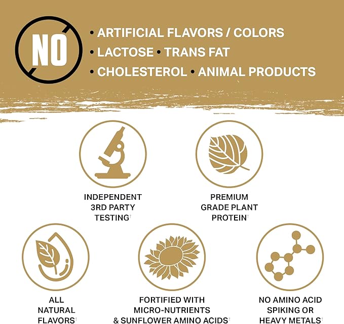 Ambrosia Planta - Plant-Based Protein Powder 20g | Dairy Free Vegan Protein Powder with BCAA Amino Acids | Keto-Friendly No Added Sugar | 25 Servings | Campfire Smores