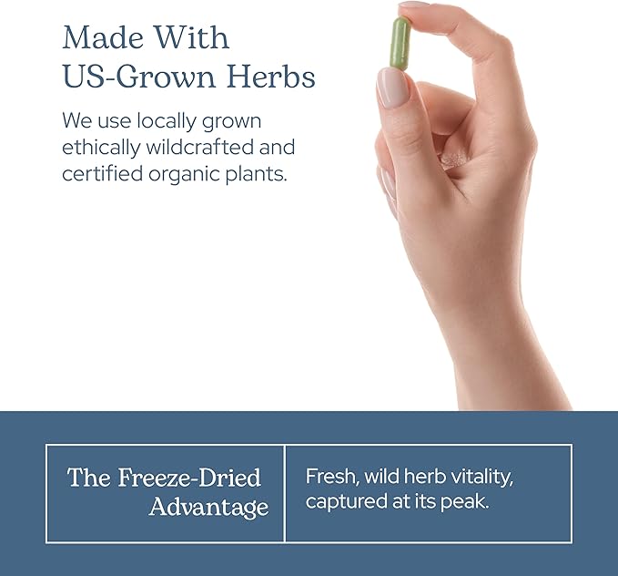 Eclectic Herb - ParaFight Capsules | Intestinal Support + Detox | Non-GMO Vegan Gluten Free (45 CT | 350 mg)