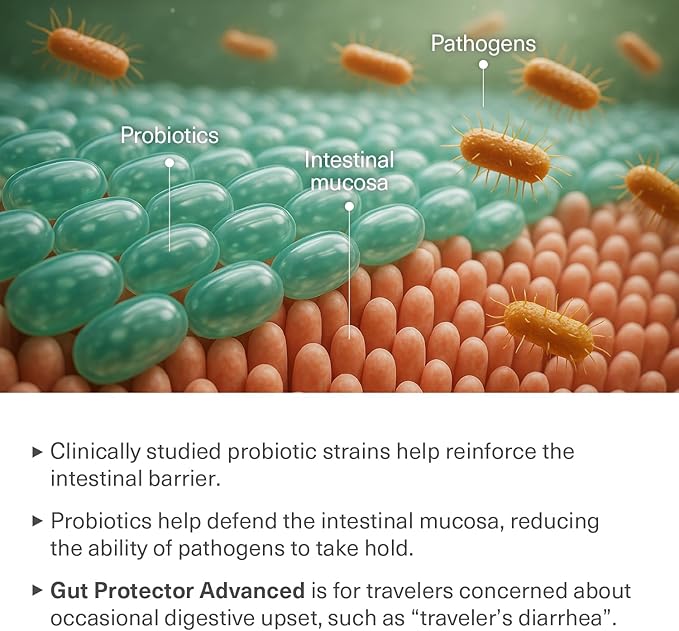 Gut–Brain–Sleep Connection Bundle (Gut Protector Advanced + Sleep Well Advanced)