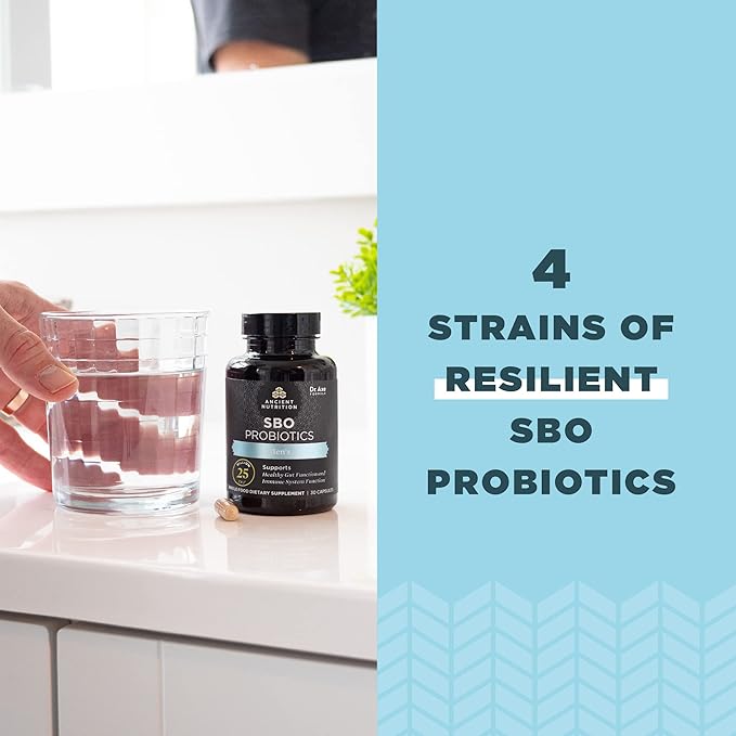 Ancient Nutrition Probiotics for Men SBO Probiotics Men's 60 Ct for Gut Health Digestive and Immune Support Boosts Muscle Mass and Fat Metabolism 25 Billion CFUs* Per Serving