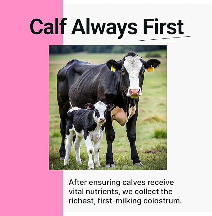 SonoHealth Cowabunga Colostrum - Premium Pure &amp Unaltered Colostrum Powder Supplement - for Immune Support Gut Health Muscle Support &amp Wellness - Kosher &amp Halal Certified Calostro