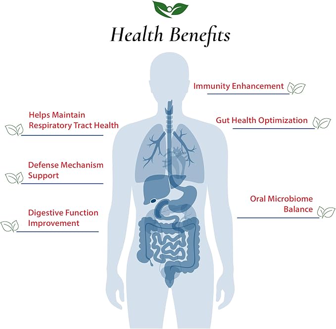 Foods For Gut Lactobacillus Salivarius Probiotic Powder 300 Billion cfu's | Made in USA | No Additives | Digestive &amp Immune Support | High Potency | L.Salivarius | 60 Gram (2.11 Oz)