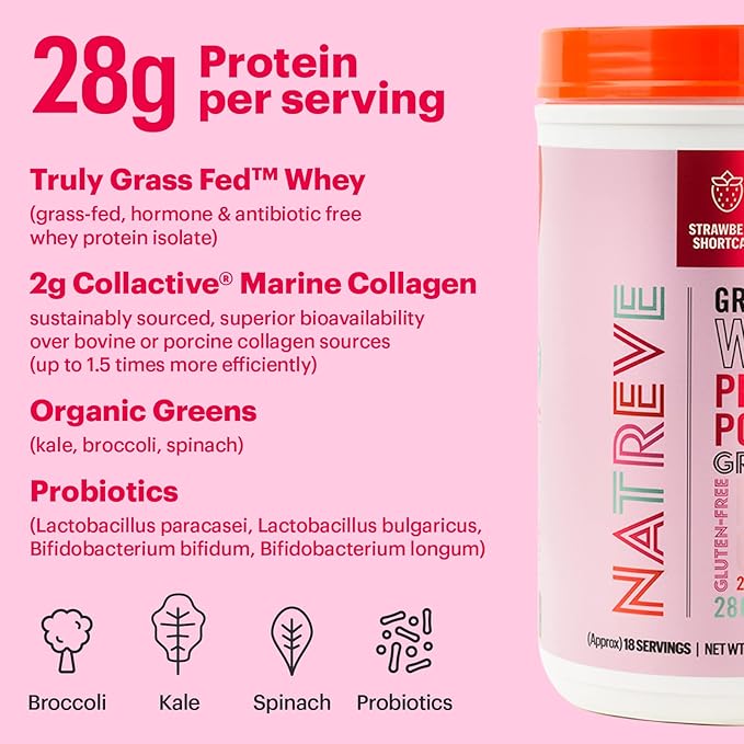 Natreve Whey Protein Powder - 28g Grass-Fed Whey Protein with Amino Acids Probiotics &amp Collagen - Gluten Free Strawberry Shortcake 18 Servings