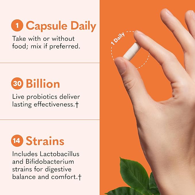 Garden of Life Dr. Formulated Probiotics Once Daily - 30 Billion CFU - Daily Probiotic for Gut Health &amp Immune Support - 30 Vegetarian Capsules