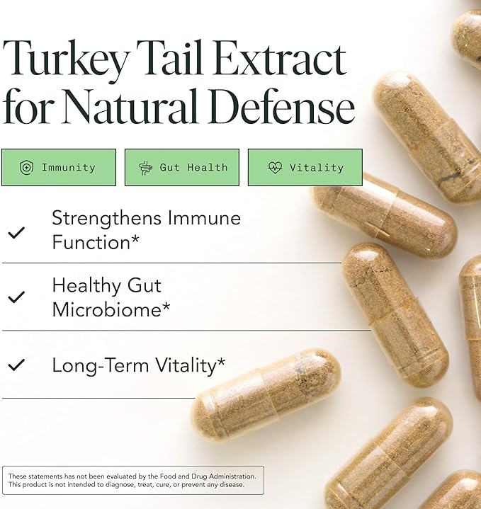 Fantastic Fungi Turkey Tail Mushroom Capsules - Organic Mushroom Extract for Gut Health &amp Immune Support Functional Adaptogenic Turkey Tail Extract Supplement Vegan Pills 120 Caps (2-Month Supp