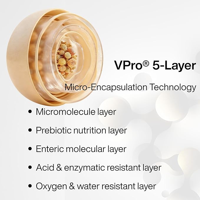 Akkermansia Probiotic Supplement – Multi-Strain Formula with Prebiotics VPro® 5-Layer Delayed Release Capsules Advanced Gut Barrier &amp Microbiome Support