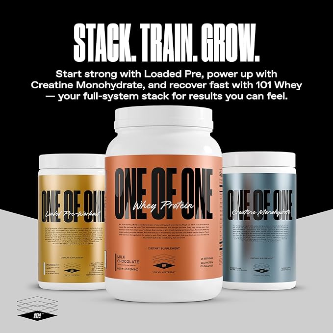 ONE OF ONE Whey Protein Powder – 25g Whey Protein Concentrate with Digestive Enzymes Gluten Free Low Carb Post-Workout Recovery – Milk Chocolate Flavor 2lb