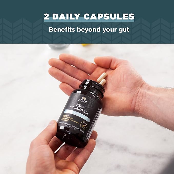 Ancient Nutrition Probiotics for Men SBO Probiotics Men's 60 Ct for Gut Health Digestive and Immune Support Boosts Muscle Mass and Fat Metabolism 25 Billion CFUs* Per Serving