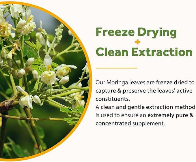 Doctor's Recipes Moringa 11000 mg Strength 90 Caps and Probiotics for Women