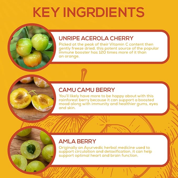 Paleovalley Essential C Complex - Vitamin C Supplement for Immune Support - 1 Pack 450mg - Organic Superfoods Unripe Acerola Cherry Camu Camu Amla Berry - No Synthetic Ascorbic Acid - USA Made