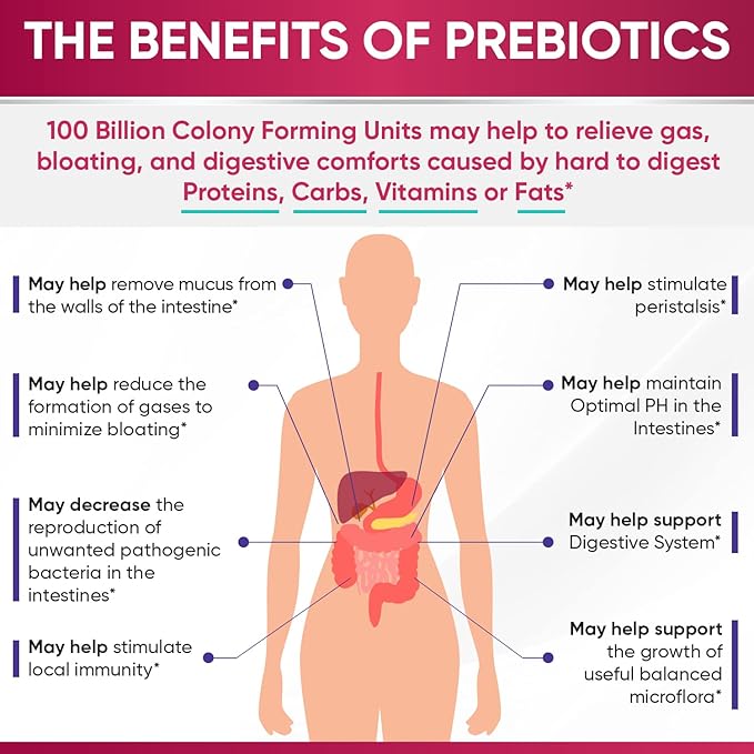 Wholesome Wellness Dr. Formulated Raw Probiotics for Women 100 Billion CFUs Capsules with Prebiotics Digestive Enzymes Approved for Adults Shelf Stable Supplement