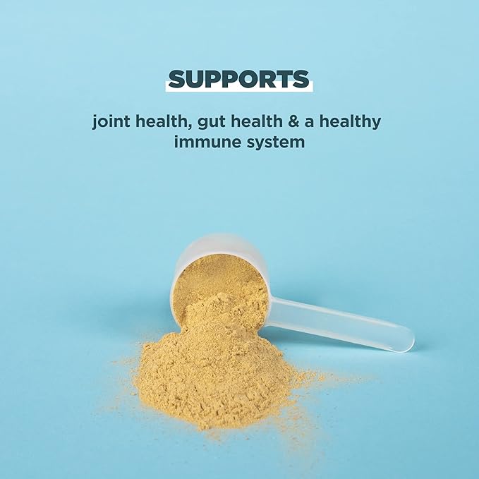 Ancient Nutrition Bone Broth Protein Powder Vanilla 20 Servings + Bone Broth Protein Powder Chocolate 20 Servings