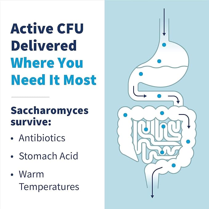 SFI Health Klaire Labs Saccharomyces Boulardii Probiotic - Acid Resistant &amp Shelf-Stable Supplement to Support Healthy Yeast Balance Immune &amp Digestive Health - Hypoallergenic Dairy-Free (12