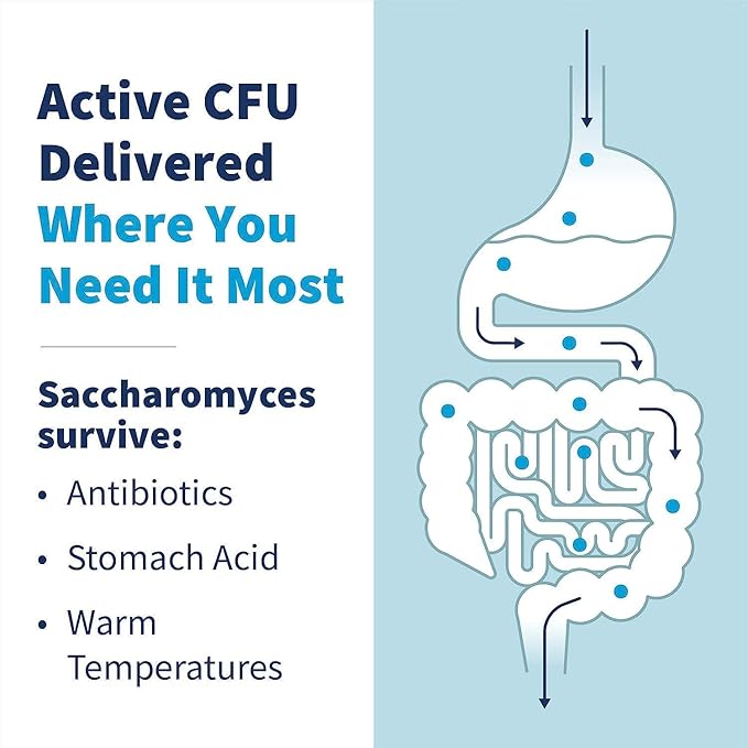 Klaire Labs SFI Health Saccharomyces Boulardii Gut Probiotics for Women &amp Men - 5 Billion CFU Yeast Probiotics for Digestive Health Immune Support &amp Diarrhea Relief (60 ct)
