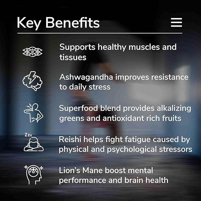 Plant Based Protein Powder w/Superfoods Ashwagandha Reishi Lions Mane for Optimal Health | 18G of Organic Chocolate Vegan Protein Gluten Free Stevia Free Sugar Free 20 Servings