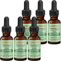 LOVITA 6 Bottles Value Pack Bee Propolis Liquid Extract 500mg 5:1 Resin Drops with 18% Bioflavonoids Alcohol-Free Antioxidant Immune Support &amp Throat Soothing