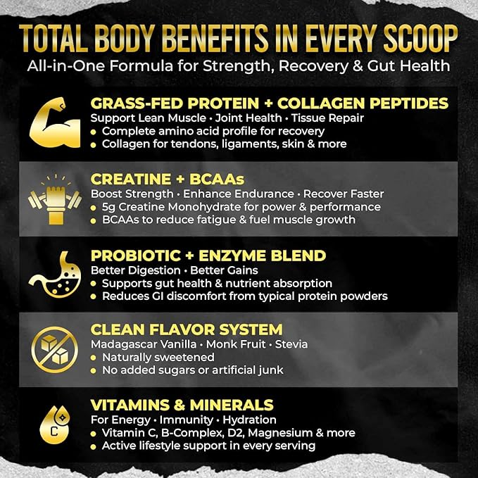 PUMPFIT305 ALL-in-ONE Grass Fed Beef Protein Isolate-41g Protein + 5g Collagen + 5g Creatine Monohydrate + 4g BCAAs Probiotics NO Bloat Muscle Recovery Post Workout Recovery - Vanilla 15 Servings