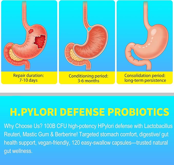 H Pylori Defense Supplements: Stomach Comfort Probiotics 100 Billion CFU with Lactobacillus Reuteri Mastic Gum Berberine for Digestive &amp Gut Health Vegan 120 Capsules