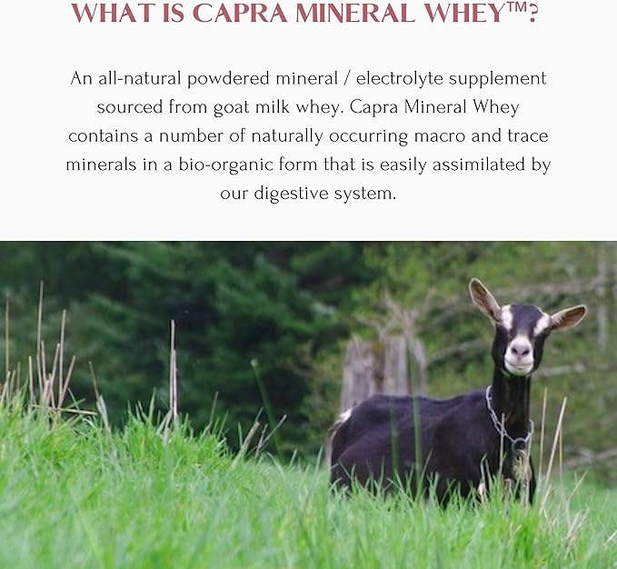 Mt. Capra Mineral Whey | A Whole Food Bio-Available Mineral/Electrolyte Powder Supplement from Goat Milk Whey Rich in Potassium Alkalizing | 28 Servings - 25.4 oz