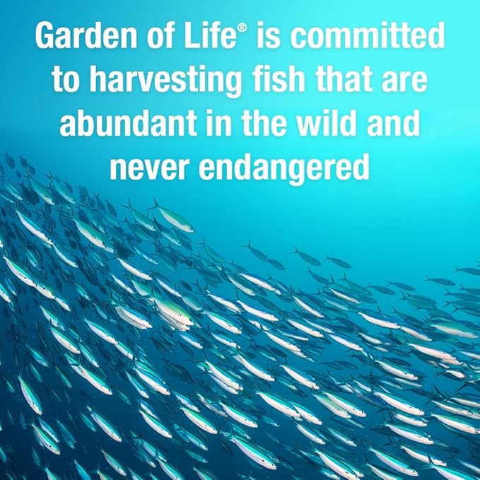 Garden of Life Oceans 3 Beyond Omega-3 with OmegaXanthin EPA DHA Supplements Fish Oil with 1200 mg Omega 3 Astaxanthin &amp Brown Seaweed Extract - 60 Softgels