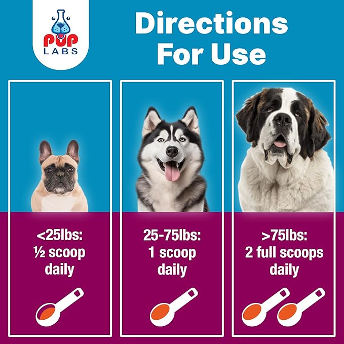 K9 Belly Bliss All-Natural Gut Health for Dogs Vet Approved Prebiotic for Dogs for Daily Digestive Support &amp Dog Constipation Relief Topper for Dry &amp Wet Food 6 Pack with 30 Scoops Each.