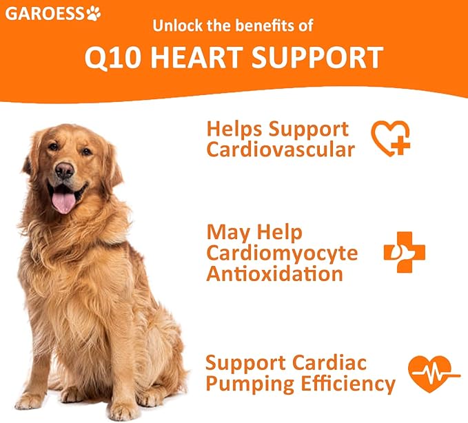 CoQ10 Heart Chew for Dogs Support Dogs Heart Health Cognitive &amp Energy CoQ10 Chews for Cardiovascular &amp Gum Health &amp antioxidant Protection Bacon Flavor 360 Count (3 Pack/Love it)