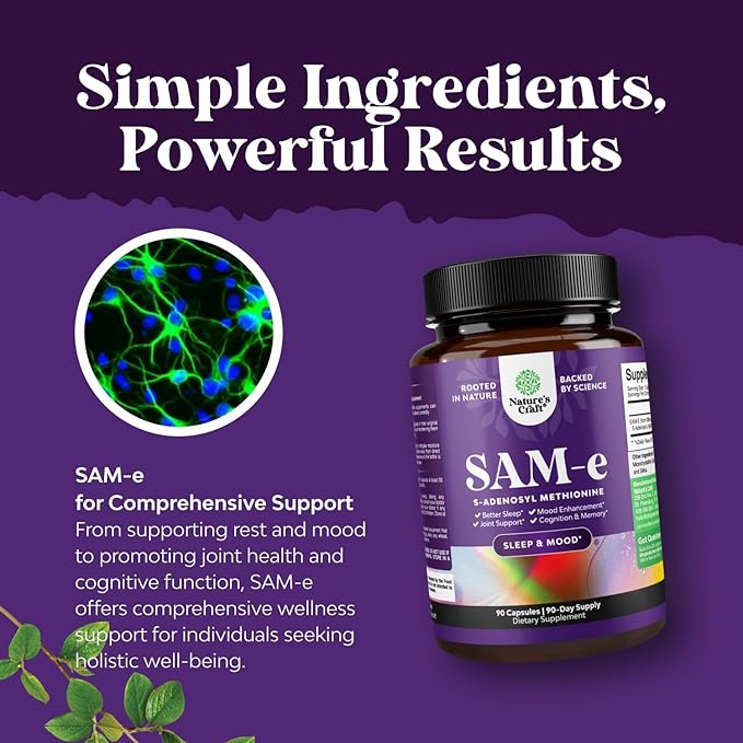 Bundle of Nootropic Memory Supplement for Brain Support - Vitamin B 12 Bacopa Monnieri Rhodiola Rosea DMAE Ginkgo Biloba and Pure SAM E Supplement 150mg - Nootropic Same 150mg Per Serving for Memory