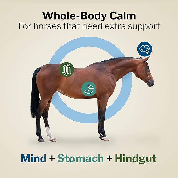 Formula 707 Support Pro Daily Packs for Horses - 28 Day Supply - Calming Ulcer Support Hindgut Health Focus &amp Stress Relief