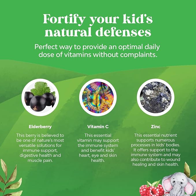 Bundle of Plant Based Kids Multivitamin Gummies with Vitamins A C D3 E B &amp Zinc for Immunity and Sambucus Elderberry for Kids Health - Black Elderberry Gummies with Zinc &amp Vitamin C for Immune