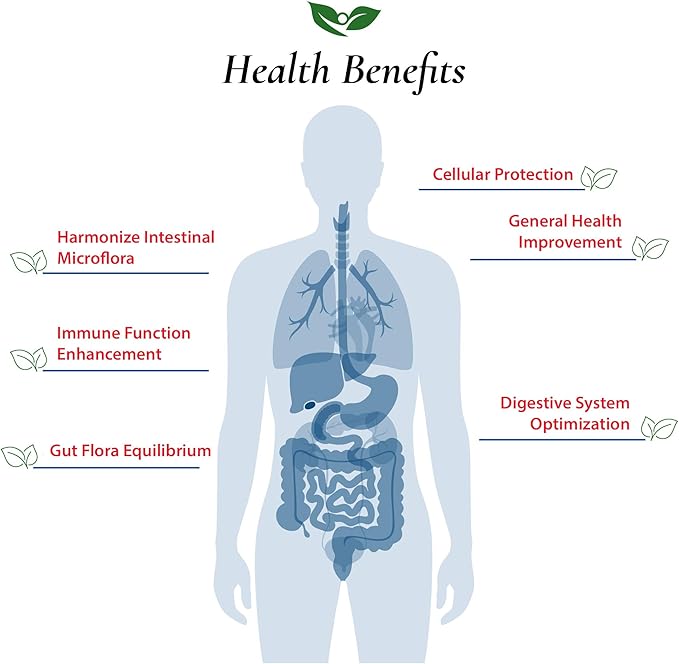 Foods For Gut Lactobacillus Lactis Probiotic Powder 300 Billion cfu's | Made in USA | No Additives | Direct from Manufacturer | No Third-Party Storage | Immune Support | L. Lactis | 100 Gram (3.52 Oz)