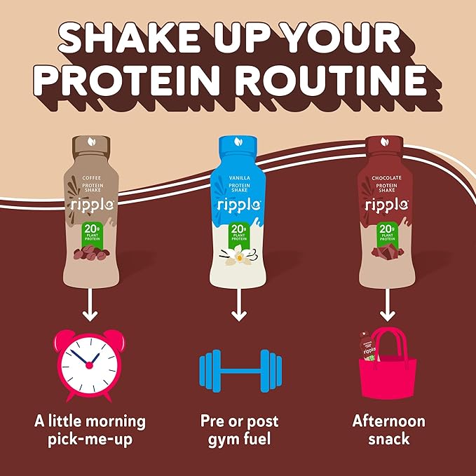 Ripple Vegan Protein Shake | Chocolate | 20g Nutritious Plant Based Pea Protein | Shelf Stable | No GMOs Soy Nut Gluten Lactose | 12 Oz 12 Pack