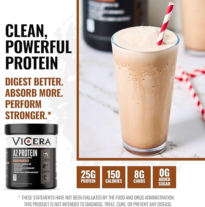 Chocolate Protein + Berry Flavor Creatine Collagen Powder A2/A2 Whey Casein Protein with Probiotics and Celtic Sea Salt (20 Servings) Creatine and Collagen Supplement Gluten Free (30 Servings)