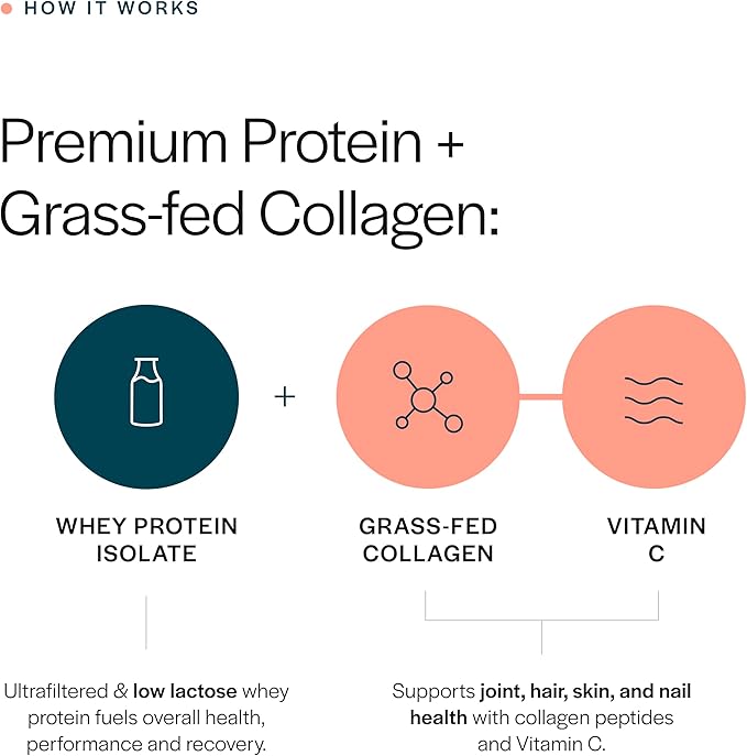 Gainful Collagen Whey Protein Powder &amp Sweet Treat Flavor Bundle 21g Protein Supports Muscle Recovery Joint Health &amp Skin Hydration with Grass-Fed Collagen Peptides 14 Servings + 14 Flavo
