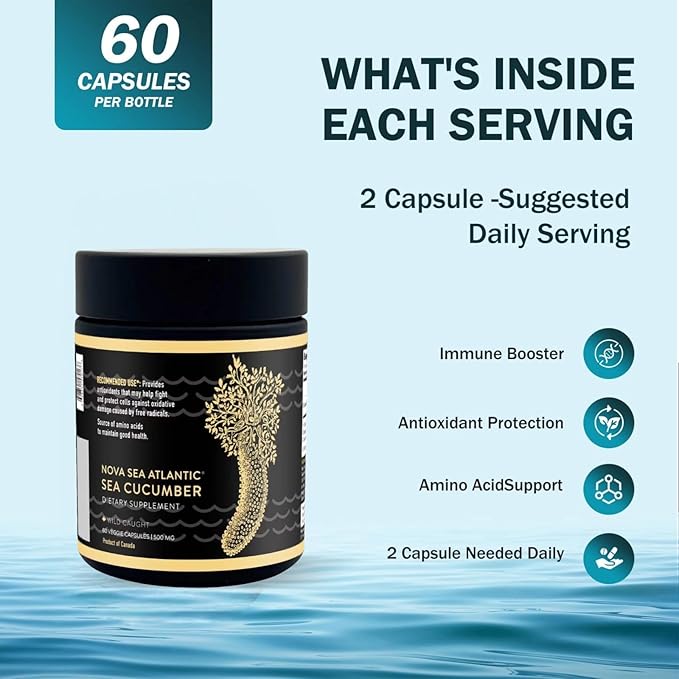Sea Cucumber Supplement Wild Caught Sea Cucumber Capsules with Fucosylated Chondroitin Vitamins Mineral — Natural Antioxidant Supplement for Elderly Adult Child (Pack of 2)