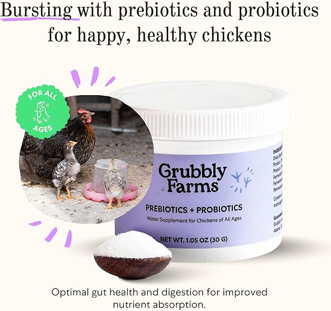 Grubbly Farms Supplements Bundle - Layer Calcium Probiotics+Prebiotics Vitamins+Electrolytes &amp Omega Mix - Complete Nutrition Support Strong Eggshells &amp Digestive Wellness for Laying Hens -