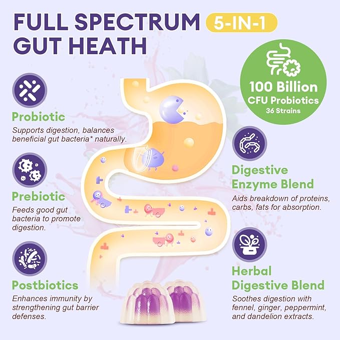 Sugar Free 5-in-1 Probiotic Prebiotic Postbiotic Gummy 36 Strains Probiotics for Women Men with Digestive Enzymes Peppermint Complete Immune Gut &amp Digestive Support Vegan 60 Ct Grape Flavor