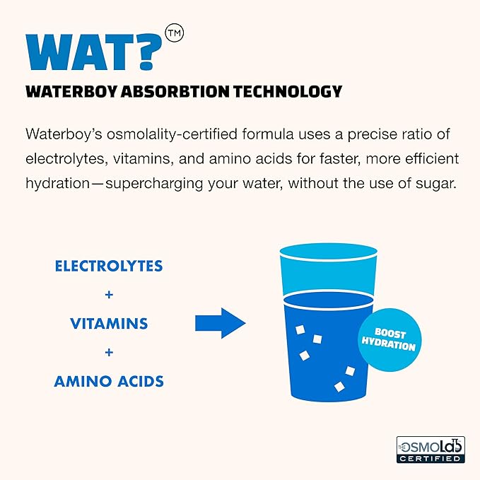 Waterboy Weekend Recovery Variety | 3200mg Electrolyte Powder Packets | Ginger + L-Theanine + Vitamins | No Sugar All Natural Gluten Free | 24 Drink Stick Mixes (Variety Pack)