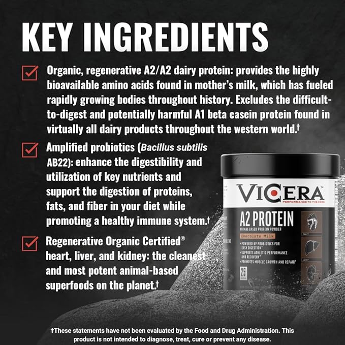 Chocolate Protein + Berry Flavor Creatine Collagen Powder A2/A2 Whey Casein Protein with Probiotics and Celtic Sea Salt (20 Servings) Creatine and Collagen Supplement Gluten Free (30 Servings)