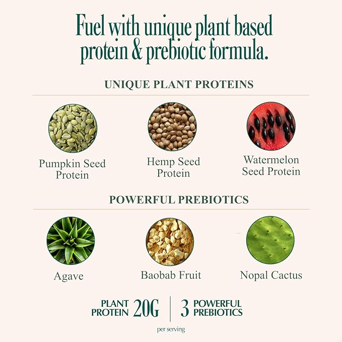 Coolside Superfood Plant Protein – 20g Smooth Seed Protein Blend – Prebiotic Fiber for Easy Digestion – Superfoods and Greens - Daily Wellness Shake for Health and Longevity - Strawberry
