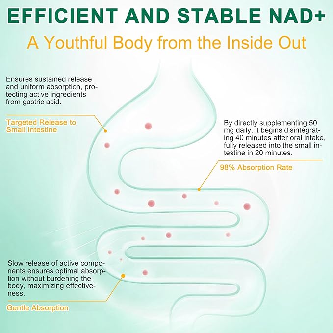 NAD Supplement 120 Capsules Liposomal Nicotinamide Riboside Resveratrol Quercetin NAD Nicotinamide Riboside Resveratrol 910mg for Women &amp Men NAD Supplement for Anti Aging and Cell Regenerati