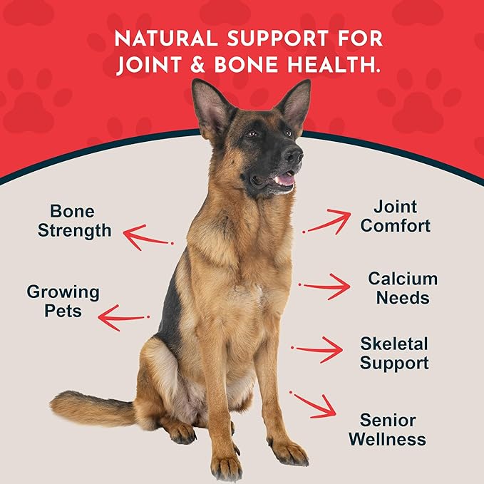 Animal Essentials Sea-Cal - Pure Seaweed Calcium Powder for Dogs with Magnesium Joint Supplement for Dogs &amp Cats for Healthy Bones &amp Teeth Joint Health Vegan Icelandic Seaweed Calcium - 12
