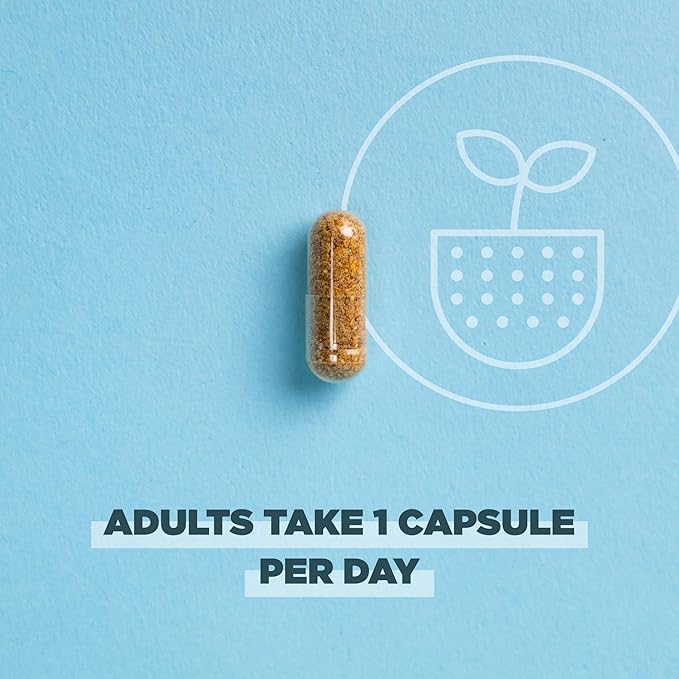 Ancient Nutrition Regenerative Organic Certified Probiotics Daily Probiotics Once Daily Healthy Digestion and Immune System Function Support 25 Billion CFUs* Per Serving 30 Count