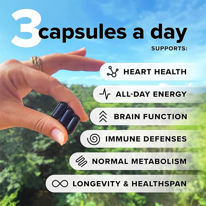 Complement Essential Vegan Multivitamin &amp Triple B12 Spray Bundle – Comprehensive Nutritional Support for Plant-Based Diets