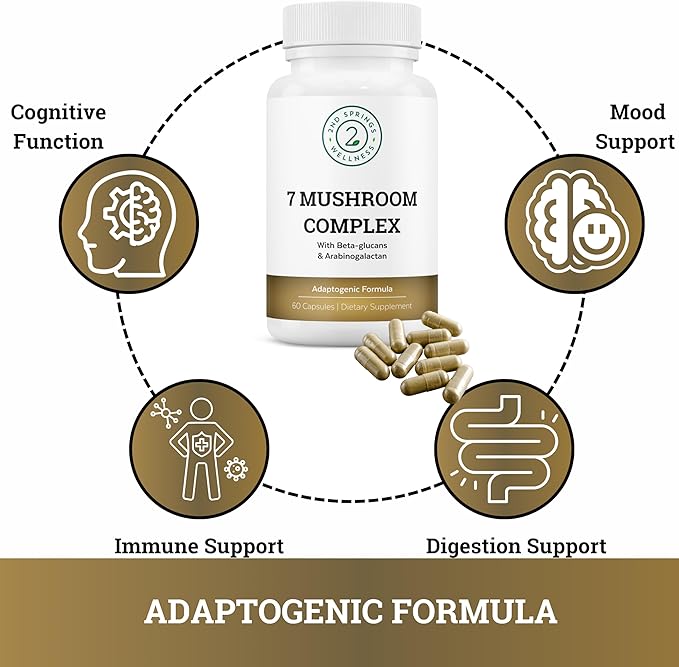 Women’s Daily 7 Essentials + ALA &amp ALC Complex + 7 Mushroom Complex + Brain Support + Magnesium Bisglycinate Bundle | Energy Focus Immunity Cognitive Support &amp Daily Wellness