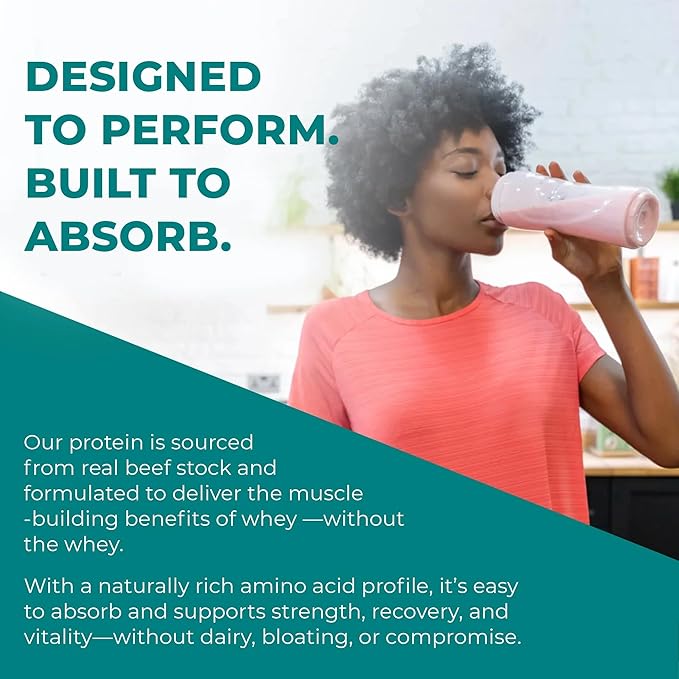 Reignite Wellness by JJ Virgin | Chocolate Paleo-Inspired All-in-One Shake | Gluten Free + Dairy Free Protein Powder | Contains 20G of Beef Protein with Vitamins Minerals Amino Acids | 30 Servings